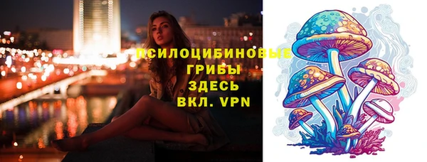 МДМА Бородино