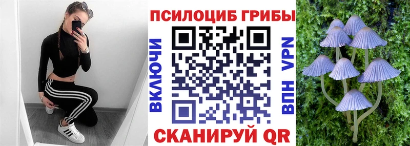 Псилоцибиновые грибы Cubensis где купить наркоту Клин